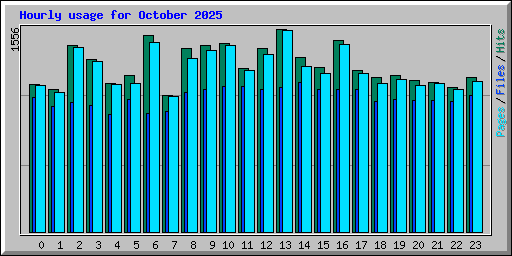 Hourly usage for October 2025