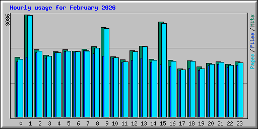 Hourly usage for February 2026